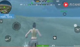 荒岛趣事爆料视频大全,揭秘趣味盎然的荒岛趣事视频集锦